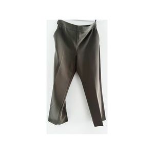 Babaton Aritzia Pants